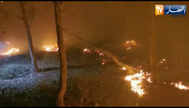 وهران: إندلاع حريق بغابة مداغ التابعة بعين الكرمة والحماية المدنية تنقذ إمرأة حاصرتها النيران