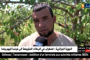 المدية: فلاحون متخوفون من فساد محاصيل الكرز هذه السنة بفعل التقلبات الجوية