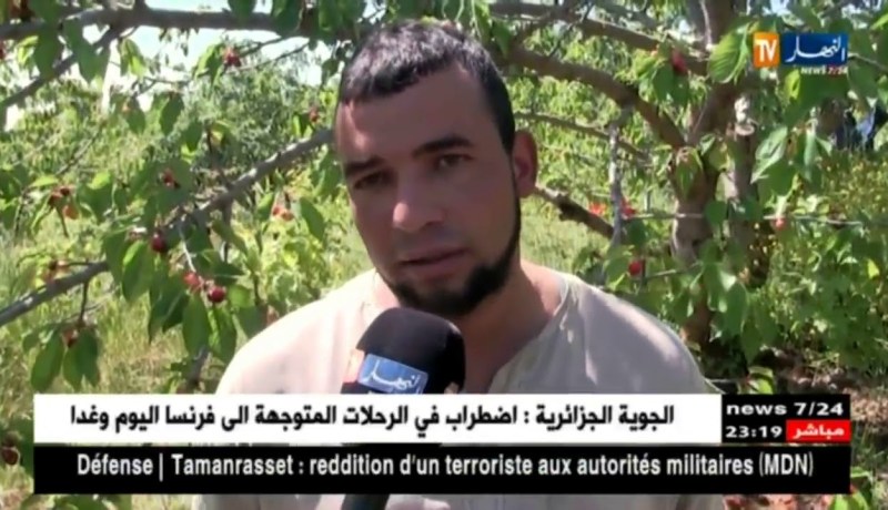 المدية: فلاحون متخوفون من فساد محاصيل الكرز هذه السنة بفعل التقلبات الجوية