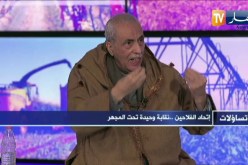 تساؤلات: الإتحاد الفلاحي.. حصيلة 46 سنة في الميزان