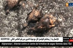 سيدي بلعباس: شرارة كهربائية تسبب في خسائر كبيرة بإحدى المزارع الخاصة بتنيرة