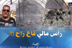 مستثمر فلاحي بسيدي بلعباس : لازم يديرولنا حلّ للبيوت البلاستيكية راي صراتلي كارثة طبيعية !!”