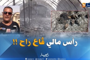 مستثمر فلاحي بسيدي بلعباس : لازم يديرولنا حلّ للبيوت البلاستيكية راي صراتلي كارثة طبيعية !!”