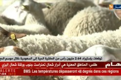 توقعات بإستيراد 2.64 مليون رأس من الماشية الحية إلى السعودية خلال موسم الحج