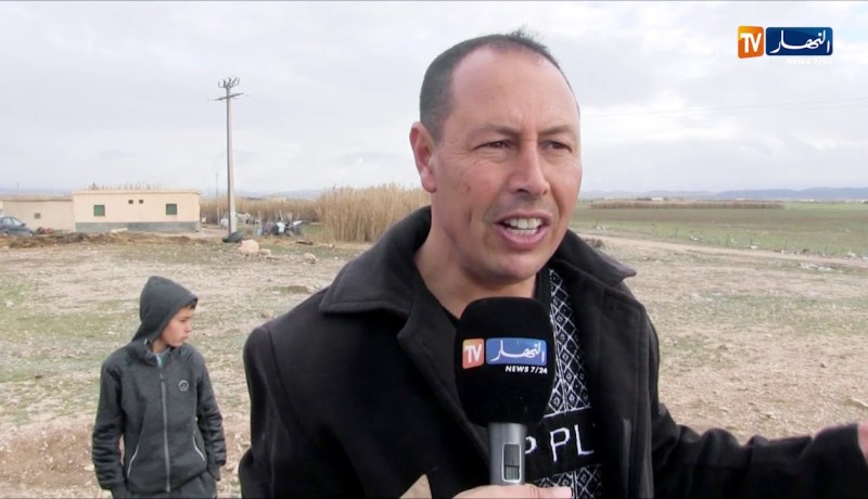 شاهد ولادة نعجة تلد خرفان ميتين بسبب الطاعون بتبسة