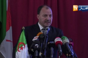 إختتام الطبعة الأولى لفعاليات حالات الرياضة بقصر المعارض الصنوبر البحري