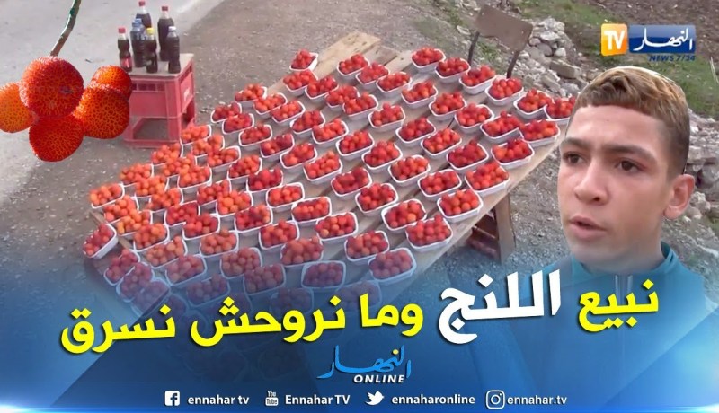 قالمة: أطفال على حواف الطرقات لبيع فاكهة اللنج كمصدر قوت