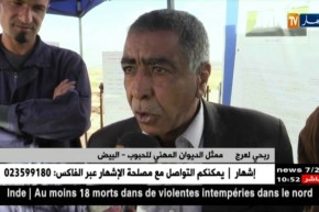 البيض: مخزون الحبوب.. مشروع لم يرى النور لمدة فاقت 5 سنوات