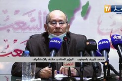 بلميهوب: إنعدام قاعدة البيانات بكافة القطاعات وسننطلق من الصفر