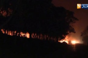 نشوب عدد من حرائق الغابات  بكل من وهران والشلف