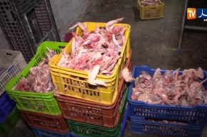 قسنطينة/ توقيف صاحب مذبح وحجز 920 كلغ من اللحوم الفاسدة