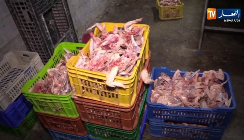 قسنطينة/ توقيف صاحب مذبح وحجز 920 كلغ من اللحوم الفاسدة