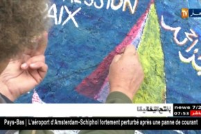 مجتمع : دحمان ..بائع شاي يحول الصخور إلى لوحات فنية بإمتياز