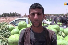 غرداية: سوق الدلاع بحاسي لفحل.. المورد الرئيس لأسواق الشمال