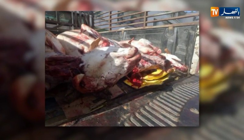 وهران: إحباط تسويق حوالي 3 قناطير من اللحوم البيضاء والحمراء الفاسدة