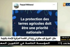 قهوة و جورنان : هوما يغردّو و حنا نردّو
