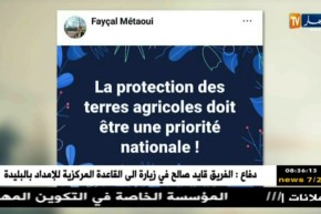 قهوة و جورنان : هوما يغردّو و حنا نردّو