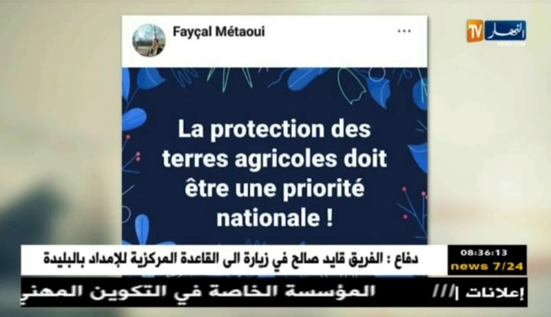 قهوة و جورنان : هوما يغردّو و حنا نردّو