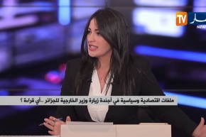 نحو أفق جديد للإستثمارات الأجنبية بالجزائر..رهان نجاعة الدبلوماسية الإقتصادية