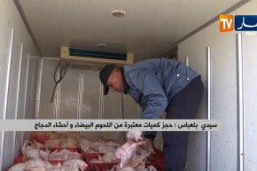 سيدي بلعباس: حجز كميات معتبرة من اللحوم البيضاء وأحشاء الدجاج