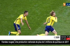 السويد تفوز على سويسرا بهدف لصفر و تبلغ ربع نهائي المونديال