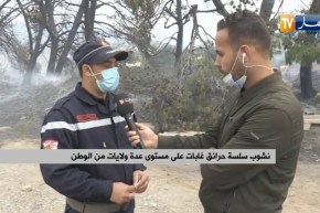 الحماية المدنية: عملية إطفاء الحرائق كانت جد صعبة  بسبب الرياح القوية ولم يتم تحديد الخسائر بعد