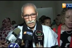الصحراء الغربية: إبراهيم غالي يستقبل هورست كوهلر