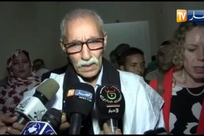 الصحراء الغربية: إبراهيم غالي يستقبل هورست كوهلر