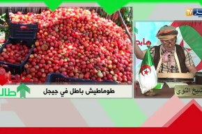 طالع هابط: الطماطم راهي باطل في جيجل والناس تشري فيها ب 150 دج