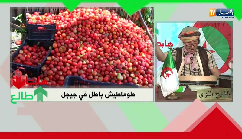 طالع هابط: الطماطم راهي باطل في جيجل والناس تشري فيها ب 150 دج