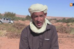 غرداية/ الفول السوداني..زراعة محلية ناجحة تحتاج المزيد من الدعم