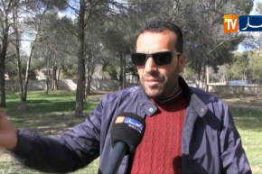 أم البواقي : غياب آليات فعالة لحماية الثروة الغابية يهدد بزوالها