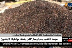 سكيكدة: “إمكانيات كبيرة تنتظر الإستثمار الجاد في شعبة الزيتون..”