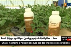 الوادي : البطيخ الأحمر .. الجنوب يمون السوق في عزّ شهر أفريل