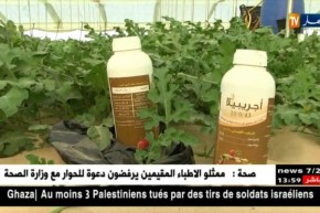 الوادي : البطيخ الأحمر .. الجنوب يمون السوق في عزّ شهر أفريل