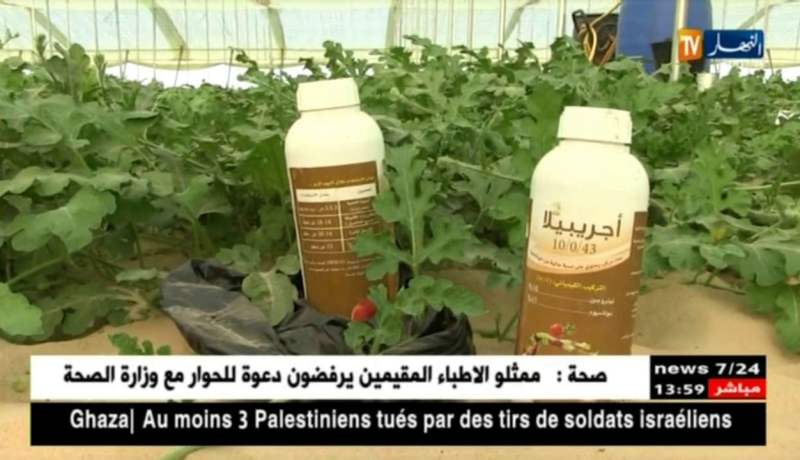 الوادي : البطيخ الأحمر .. الجنوب يمون السوق في عزّ شهر أفريل