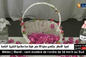 قسنطينة: تقطير الزهر..موروث ثقافي يزين المدينة كل فصل ربيع