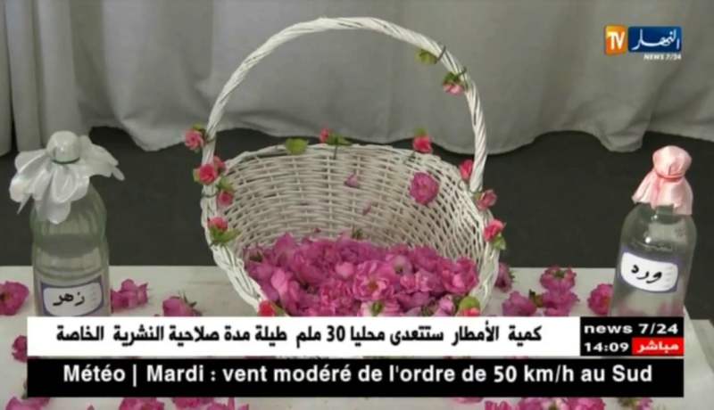 قسنطينة: تقطير الزهر..موروث ثقافي يزين المدينة كل فصل ربيع