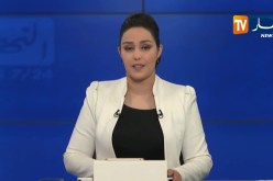 المدية: إجتياز 4258 سجين لشهادة التعليم المتوسط