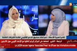 نحوإنشاء صندوق للدعم الإقليمي لفائدة الشركات الناشئة ..تفاديا لهجرة الأدمغة ..!!