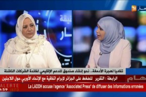 نحوإنشاء صندوق للدعم الإقليمي لفائدة الشركات الناشئة ..تفاديا لهجرة الأدمغة ..!!