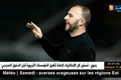 بلماضي: أنا على قدر المسؤولية وسأرفع التحدي مع الخضر