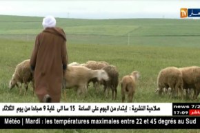 بحثاً عما تأكل مواشيهم.. البدو الرحل يشدون رحالهم نحو تلال تيارت !