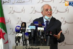 محمد شرفي: يخضع أعضاء السلطة الوطنية للإنتخابات لتحقيقات قبل الإنضمام إليها