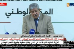 أويحيي: الكلام على الإجماع في المرحلة الإنتخابية هو نكران للسيادة الوطنية والشعبية