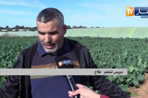 فلاحة: فلاحون يرمون منتجاتهم بسبب فسادها