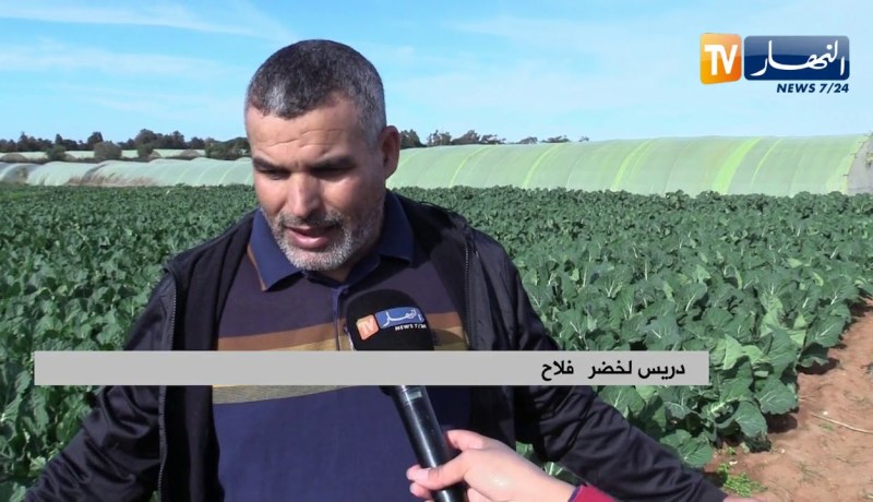 فلاحة: فلاحون يرمون منتجاتهم بسبب فسادها