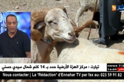 بوزيد سالمي: الجزائر من الدول الإسلامية الوحيدة التي لا تستورد أضحية العيد