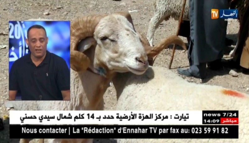 بوزيد سالمي: الجزائر من الدول الإسلامية الوحيدة التي لا تستورد أضحية العيد