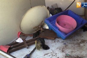 أمن: توقيف 03 أشخاص في حالة تلبس لسرقة أغطية مجاري الصرف الصحي بالعاصمة